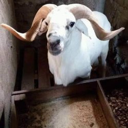 +2348162236155. How to join occult for wealth, fame and protection