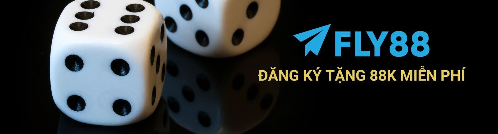 Fly88 com